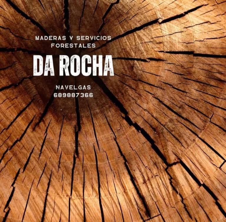 10.- MADERAS Y SERVICIOS FORESTALES DA ROCHA