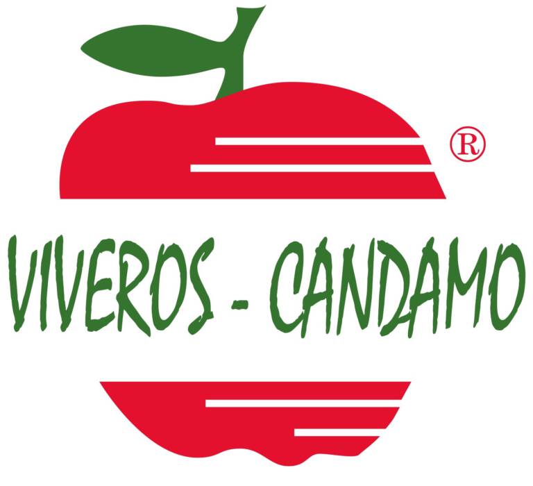 19.- VIVEROS CANDAMO